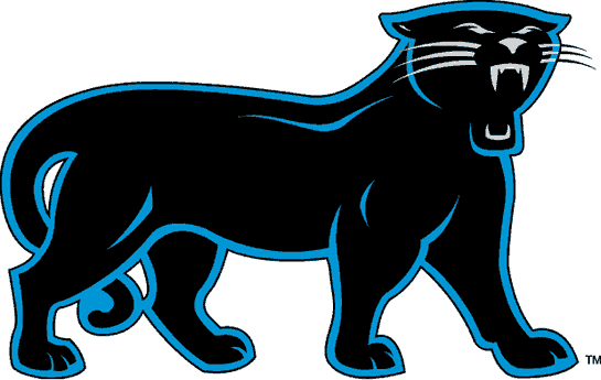 Carolina Panthers 1995-2011 Alternate Logo iron on paper